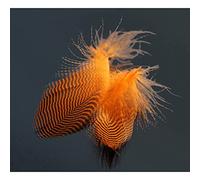 Tigofly 40 Pcs/Lot of 4 Natural Colours Barred Mallard Duck Side Feathers, Wild Goose Hair Wings Fly Binding Materials (Orange)