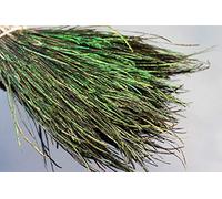 Tigofly 400 strands Natural Peacock Herl Feather for Nymphs Wet Streamers Flies Rib Body Fly Tying Materials 10-20cm Length