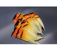Tigofly 50 pcs/lot White Golden Natural Color Pheasant Head Crest Feather Fly Tying Materials (Golden)