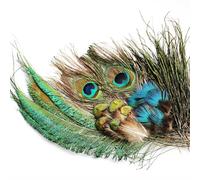 Tigofly Peacock Feather Set Sword Tail Herl Quills Feather for Nymphs Wet Flies Classic Fly Tying Materials