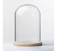 TIHONORI Dia 20 Cm Glass Cloche Dome Display with Solid Wood Base for Displaying Plants, Ornaments, Figurines,20 * 25cm