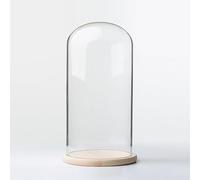 TIHONORI Dia 20 Cm Glass Cloche Dome Display with Solid Wood Base for Displaying Plants, Ornaments, Figurines,20 * 35cm