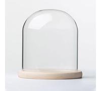 TIHONORI Dia 20 Cm Glass Cloche Dome Display with Solid Wood Base for Displaying Plants, Ornaments, Figurines,20 * 20cm