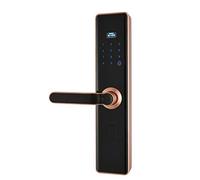 Tiiiopkvvv Door Locks with Keys Home Security Door Fingerprint Lock Smart Lock Swipe Password Automatic Unlocking Multi-Factor authentication