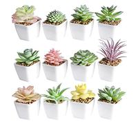 Tiita Artificial Faux Succulents in Pots Fake Plants Ceramic Arrangement Planter Small Mini Tiny Decoration for Home Office Desk Window Sill Bathroom Bedroom Outdoor Indoor 12 Set