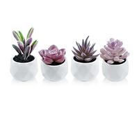Tiita Artificial Plants Desk Fake Succulents Indoor Decor Office Room Decoration Small Tiny Realistic Plants in White Ceramic Potted