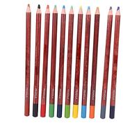 Tiiyee 12Pcs Pastel Pencils, Wooden Rod Art Oil Colouring Pencils Skin and Hair Tone Sketch Set Painting Tool for Illustration Tinting Sketching Home Office School Drawing Stationery