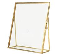 Tiiyee Glass Pressed Flower Frame, Dried Flower Photo Frame Plant Tabletop Specimen Picture Gold Geometric Display Home Decoration Art Stand Metal Bracket with Locket Closure for Desktop Dried Flowers