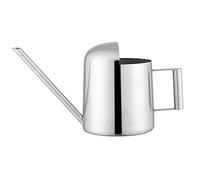Tiiyee Small Stainless Steel Watering Can for Indoor Plants, Tiny Metal Long Spout Bonsai Watering Can, Mini Houseplant Watering Tool with Comfort Handle for Garden Flower Cactus Succulent (300ml)