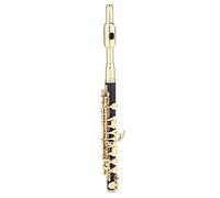 TIKATARER Piccolo Flute, Piccolo Instrument Kit Key Of C Half Size Flute C Key Tone Intermediate for Beginners Students (Gold)