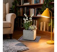 TIKATARER Rectangular Flower Pot, Simple Stylish Design with Drainage Hole, Made of Recycled Plastic, Thick and Durable, for Succulents Seedlings Home Garden Balcony (Large Rectangular Tray)