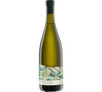 Tiko Estate Mtsvane 2024