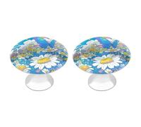 Tilivyx Door Knobs Decorative Butterfly Rainbow Daisy Flowers Drawer Handles Cabinet Pull Handles for Cupboard Wardrobes Bedside Table Bookcase 2 PCS