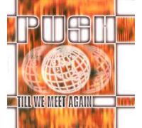 Till We Meet Again [12" VINYL]