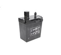 FEBI BILSTEIN 46802 Driver Cab Tilt Pump Manual Operating Replacement Fits IVECO