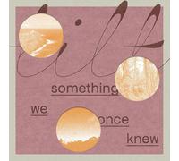TILT - Something We Once Knew - Vinyl (LP + MP3 download code)