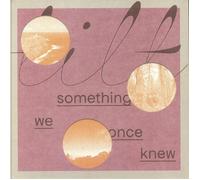 TILT - Something We Once Knew - Vinyl (LP + MP3 download code)