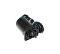 Tilt Trim Motor 65w-43880 for 25hp 30hp 40hp F20 F25 F45 Parsun Hidea Seapro 65w-43880-00 67c-43880
