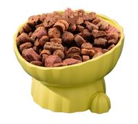 Tilted Bowl - Raised Kitten Bowl, Cat Food Container | Anti Vomiting 15 Degree Tilt Raised Cat Bowls, Shallow Health Boost Indoor Cats Stress Water Dish for Cream Cheese Chicken Dry Wet Food