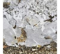 Tim Barnes : Lost Words VINYL 12" Album (2025) NEW FREE Shipping, Save £s