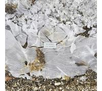 Tim Barnes - Lost Words [VINYL]