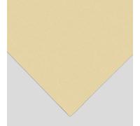 Tim Fisher : 400 Art Pastel Paper : Single Sheet : Approx 50x70cm : Light Buff (Classic)