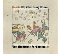 Tim Heidecker - High School