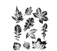 Tim Holtz Cling Stamps 7"X8.5"-Leaf Prints 2