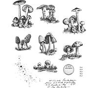 Tim Holtz - Stampers Anon Cling RBBR Stamp Set, Tiny Toadstools, One Size