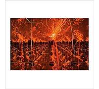 Tim Kinsella - Firecracker In A Box Of Mirrors (Orange Vinyl) [New Vinyl LP]