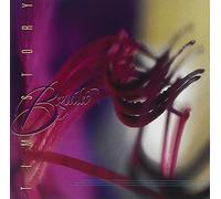 Tim Story - Bequiled