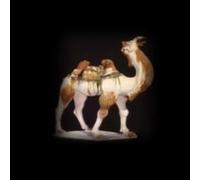 Tim Williams Silk Roads Hardback Book Tim Williams Multicolor