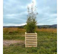 Timber Foundry Contemporary Wooden Planter L40 X W40 X H48Cm