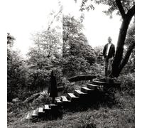 Timber Timbre : Timber Timbre VINYL 12" Album (2014) NEW Amazing Value