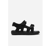 Timberland Boys Perkins Row Backstrap Sandals in Black - Black - EU 35 UK 2.5 US 3