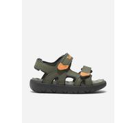 Timberland Boys Perkins Row Backstrap Sandals in Green - Green - EU 22 UK 5 US 5.5
