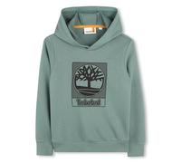 Timberland Boy's T60383 Pullover Sweater, Dark Green, 6 Years