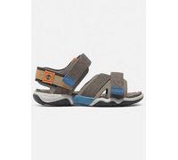 Timberland Kids Adventure Seeker 2-Strap Summer Sandals Grey