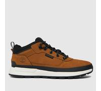 Timberland Men's Field Trekker Low Boots in Tan, Size: 9 UK 9 (EU 43½)
