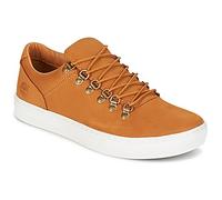 Timberland Shoes (Trainers) ADV 2.0 CUPSOLE ALPINE OX in Brown 7