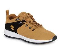 Timberland Shoes (Trainers) SPRINT TREKR LOW KNIT in Brown 8.5