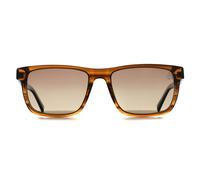 Timberland Sunglasses TB00020 48H Striped Brown Horn Brown