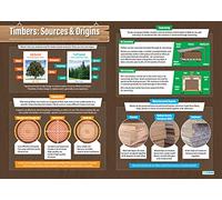 Timbers: Sources & Origins | Design & Technology Posters | Gloss Paper measuring 850mm x 594mm (A1) | Design and Technology Classroom Posters | Education Charts by Daydream Education