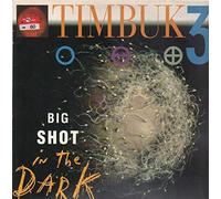 Timbuk 3 - Big shot in the dark (1991) [VINYL]
