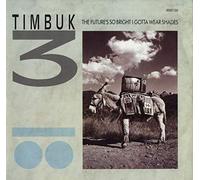 Timbuk 3 - The Future's So Bright, I Gotta Wear Shades (1986) [12" Vinyl]