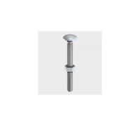 TIMco 08100CBSSP Carriage Bolt SS 8 x 100mm Bag of 4