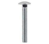 Coach Bolts Stainless Steel M10 100mm Pack of 5