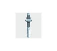 TIMco 10120TB Through Bolt BZP 10 x 120mm Box of 50