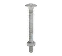 TIMCO Carriage Bolts & Hex Nuts Hot Dipped Galvanised - 12180CBG - Pa- you get 4