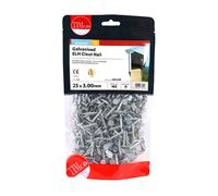TIMCO Extra Large Head Clout Nails Galvanised - GEC25B- you get 4